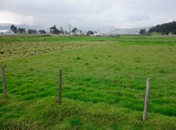 Terreno chubut